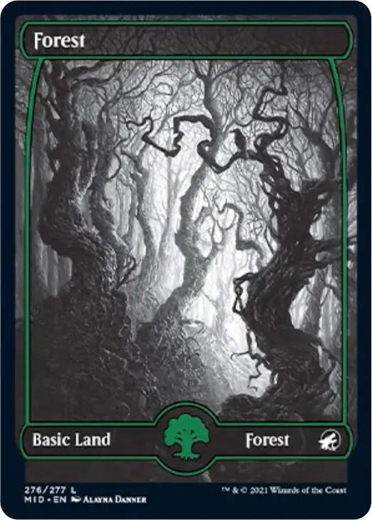 Forest (276) - Innistrad: Midnight Hunt - 276 - Foil LP Magic: The Gathering - Magic Card Single