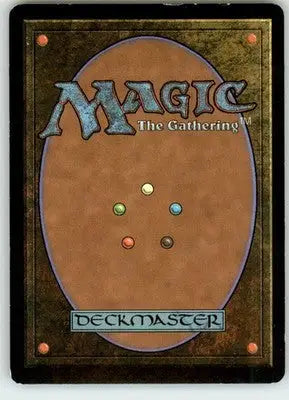 Forest (303) - Ravnica: City of Guilds - HP - #303 - Magic Card Single