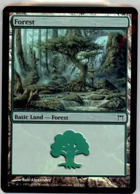 Forest (304) - Champions of Kamigawa - 304 - Foil HP - Magic Card Single