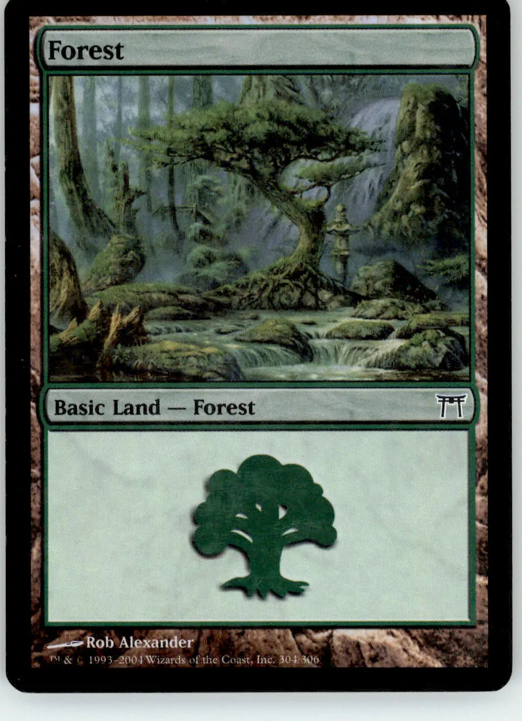 Forest (304) - Champions of Kamigawa - 304 - Foil MP Magic: The Gathering - Magic Card Single