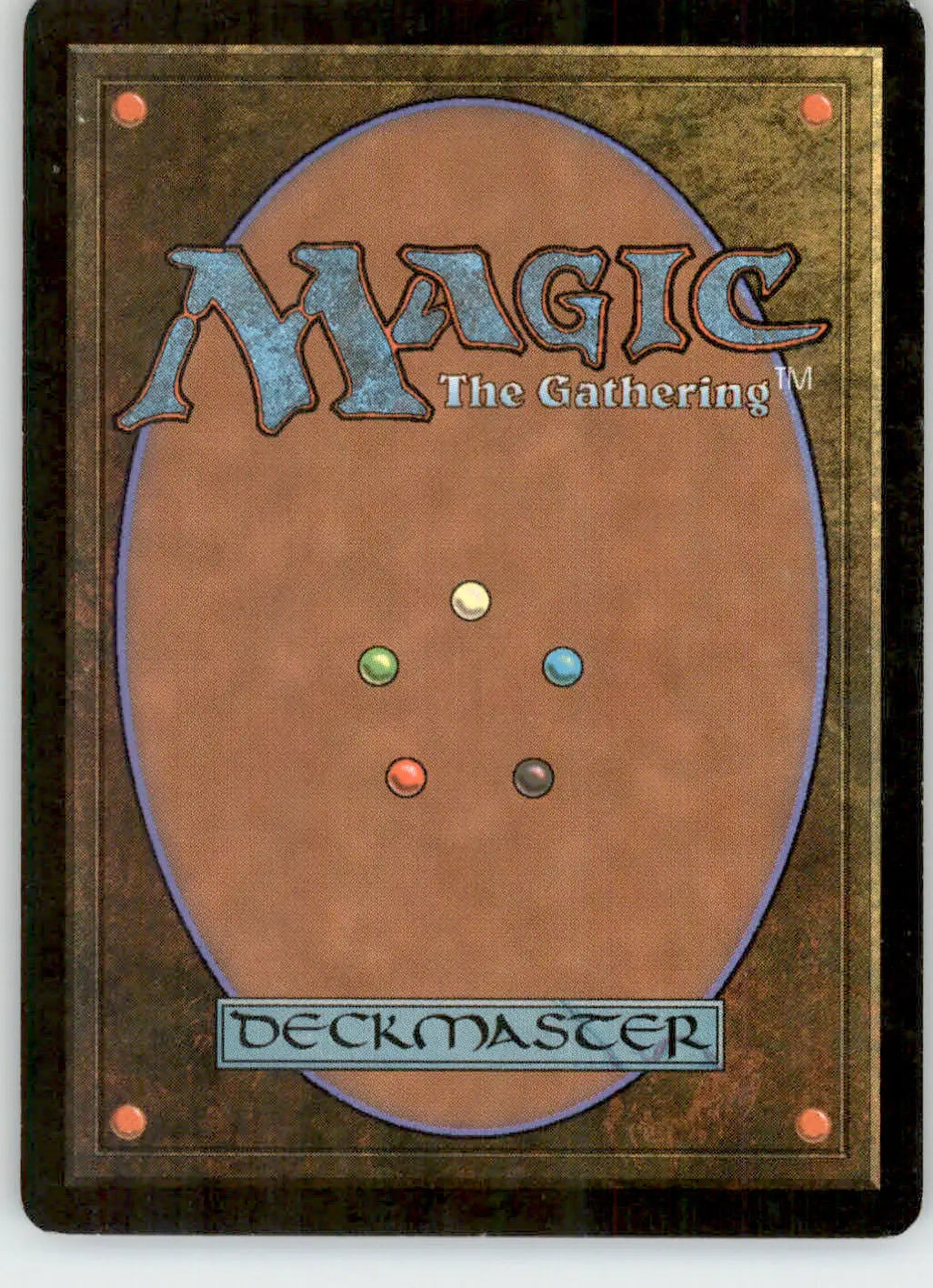 Forest (304) - Champions of Kamigawa - 304 - Foil MP Magic: The Gathering - Magic Card Single