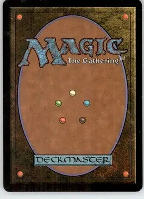 Forest (304) - Ravnica: City of Guilds - 304 - LP Magic: The Gathering - Magic Card Single