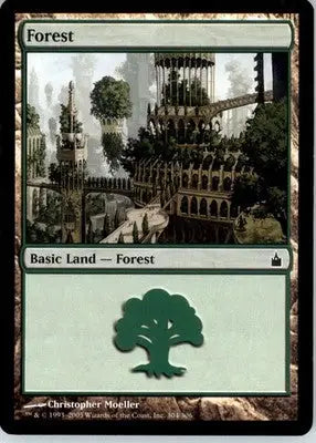 Forest (304) - Ravnica: City of Guilds - LP - #304 - Magic Card Single