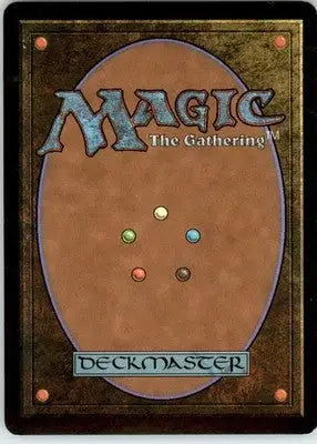 Forest (304) - Ravnica: City of Guilds - LP - #304 - Magic Card Single