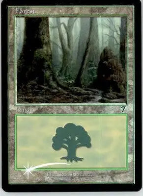 Forest (329) - 7th Edition - 329 - Foil MP - Magic Card Single