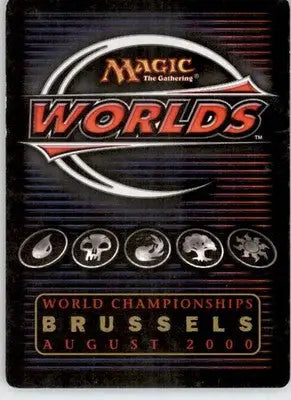 Forest (347) - 2000 Janosch Kuhn World Championship Decks - MP Magic - Magic Card Single