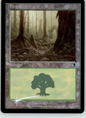 Forest (348) - Odyssey - 348 - Foil MP Magic: The Gathering - Magic Card Single