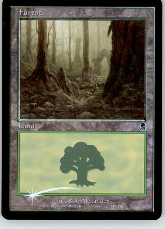 Forest (348) - Odyssey - 348 - Foil MP Magic: The Gathering - Magic Card Single