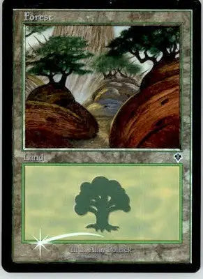 Forest (349) - Invasion - 349 - Foil MP - Magic Card Single