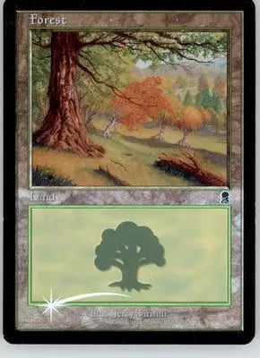 Forest (349) - Odyssey - 349 - Foil MP Magic: The Gathering - Magic Card Single