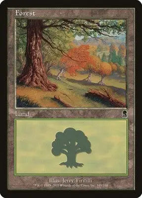 Forest (349) - Odyssey - 349 - LP Magic: The Gathering - Magic Card Single