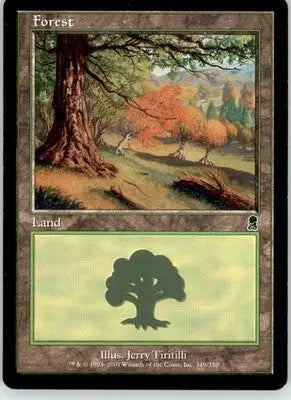 Forest (349) - Odyssey - 349 - LP Magic: The Gathering - Magic Card Single