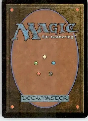 Forest (349) - Odyssey - 349 - LP Magic: The Gathering - Magic Card Single