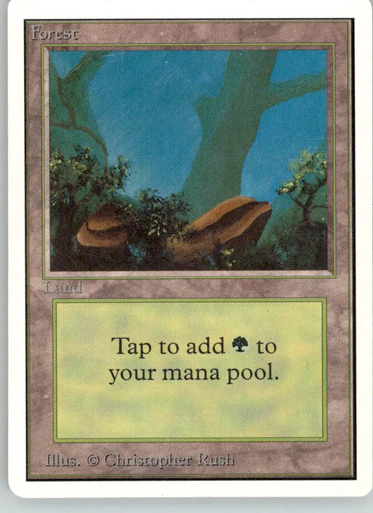 Forest (A) - Unlimited Edition - LP Magic: The Gathering - Magic Card Single