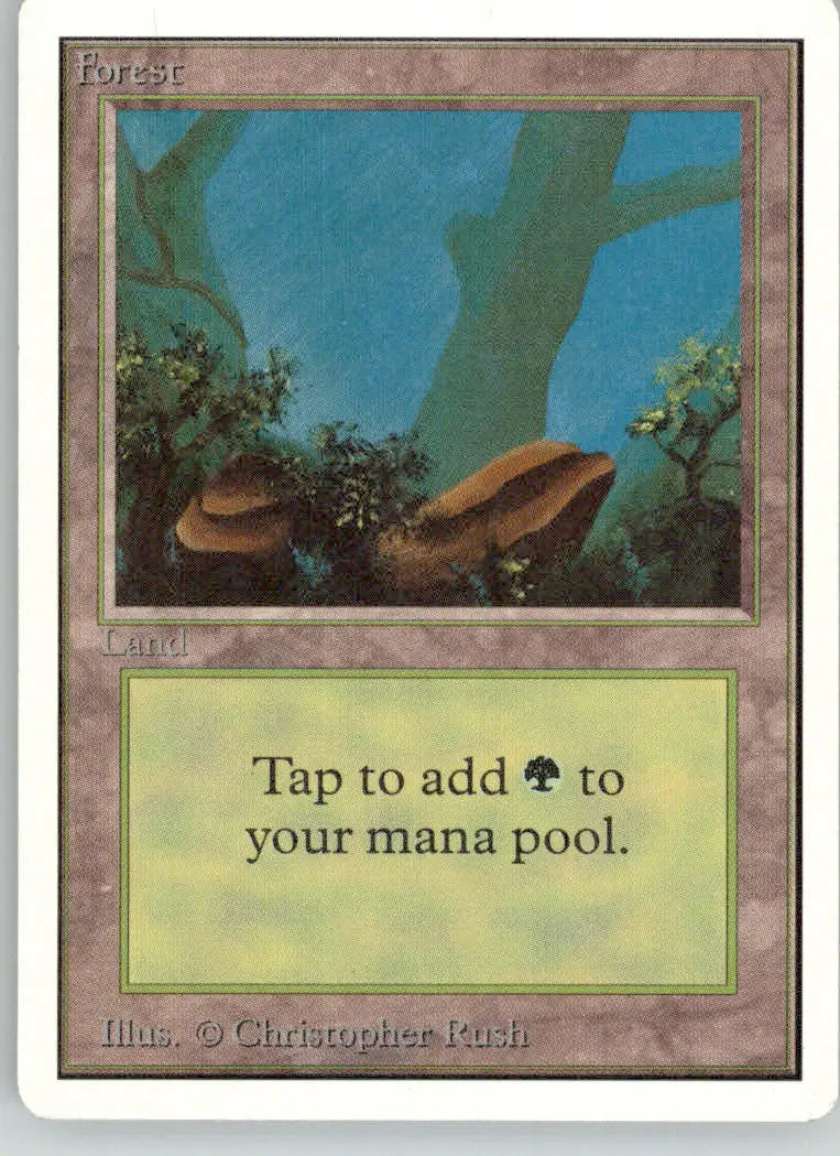 Forest (A) - Unlimited Edition - MP Magic: The Gathering - Magic Card Single