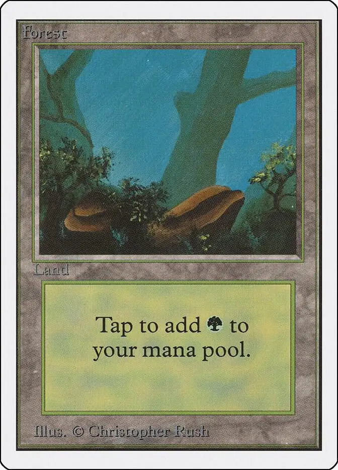 Forest (A) - Unlimited Edition - MP Magic: The Gathering - Magic Card Single
