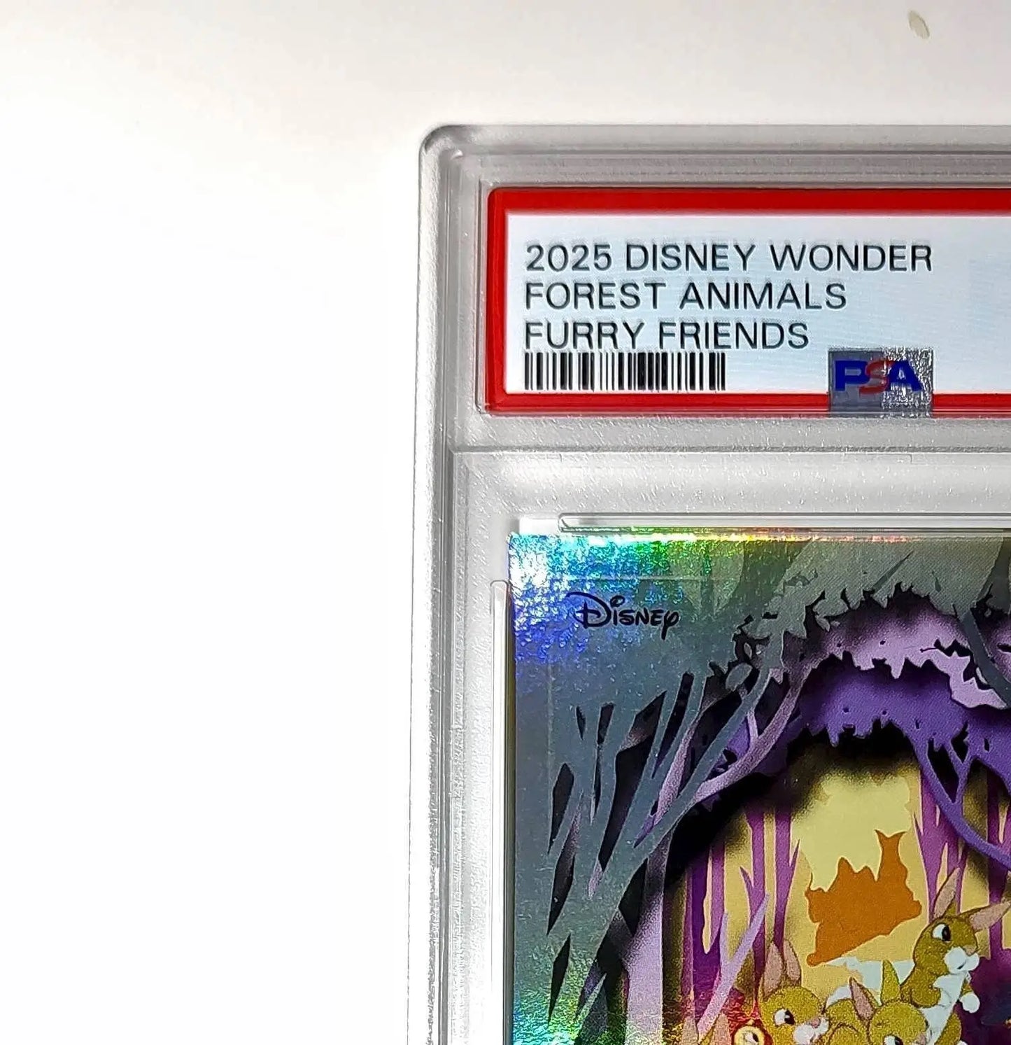Forest Animals 2025 Topps Disney 2025 Topps Disney #FF-1 Furry Friends PSA 9 - Non-Sports Card Single