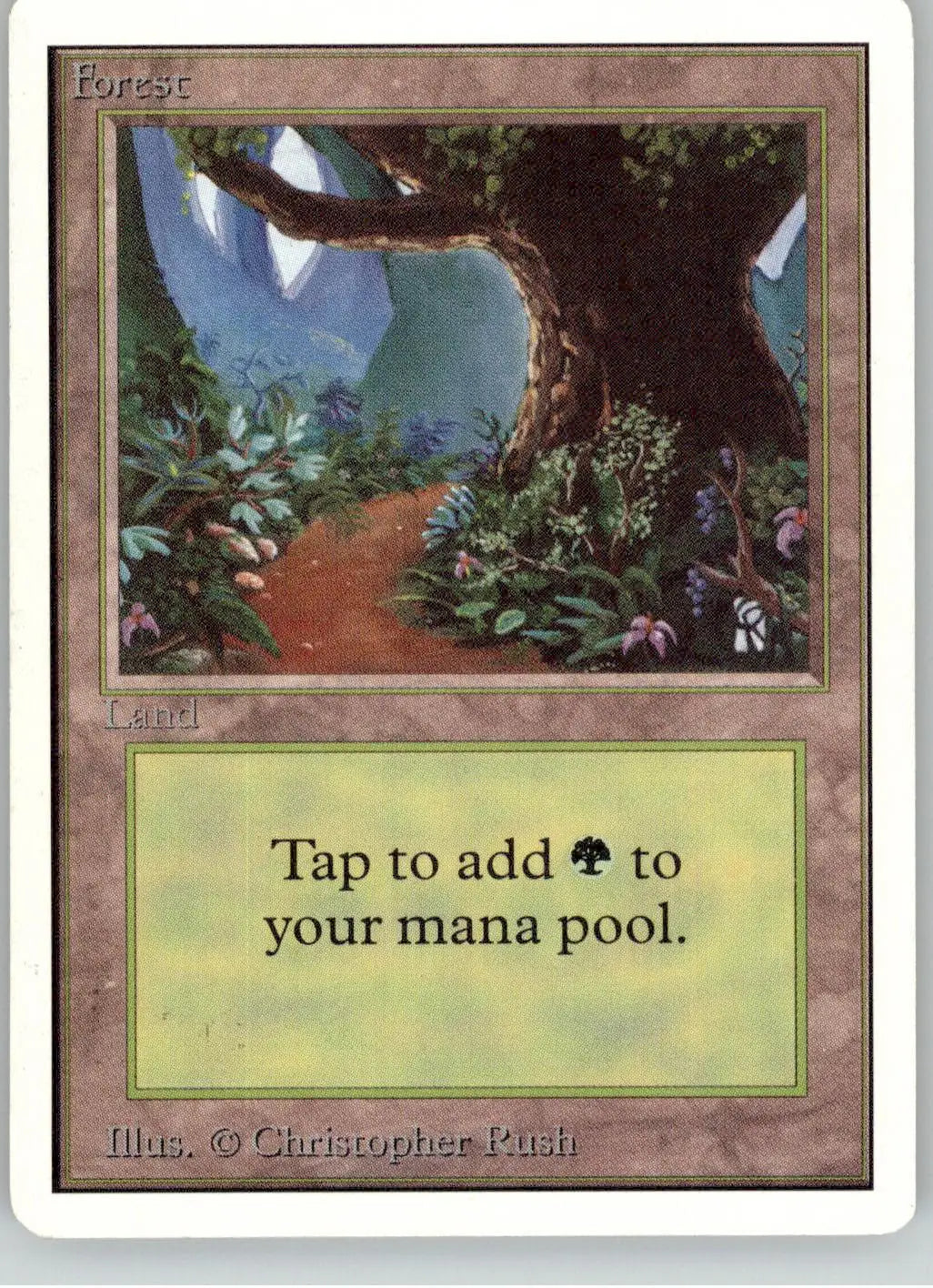 Forest (B) - Unlimited Edition - LP Magic: The Gathering - Magic Card Single