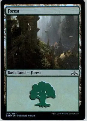 Forest - Guilds of Ravnica - 264 - Foil NM - Magic Card Single
