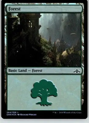 Forest - Guilds of Ravnica - 264 - NM Magic: The Gathering - Magic Card Single