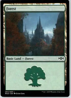 Forest - Ravnica Allegiance - 264 - NM - Magic Card Single