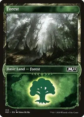 Forest (Showcase) - Core Set 2021 - 313 - Foil NM Magic: The Gathering - Magic Card Single