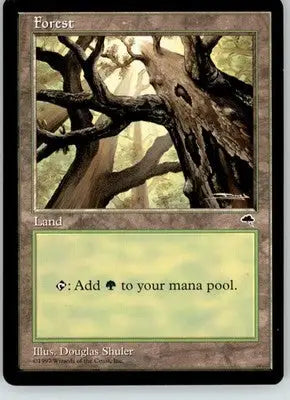 Forest (Skyward) - Tempest - 347 - LP Magic: The Gathering - Magic Card Single