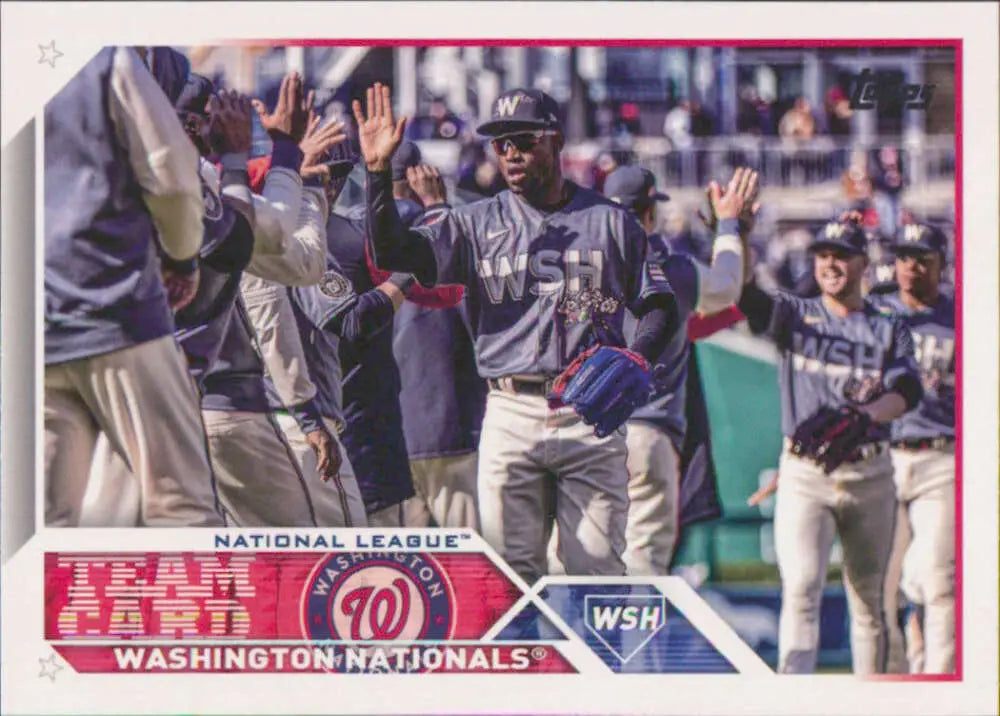 2023 Topps #316 Washington Nationals NM-MT ID:56879