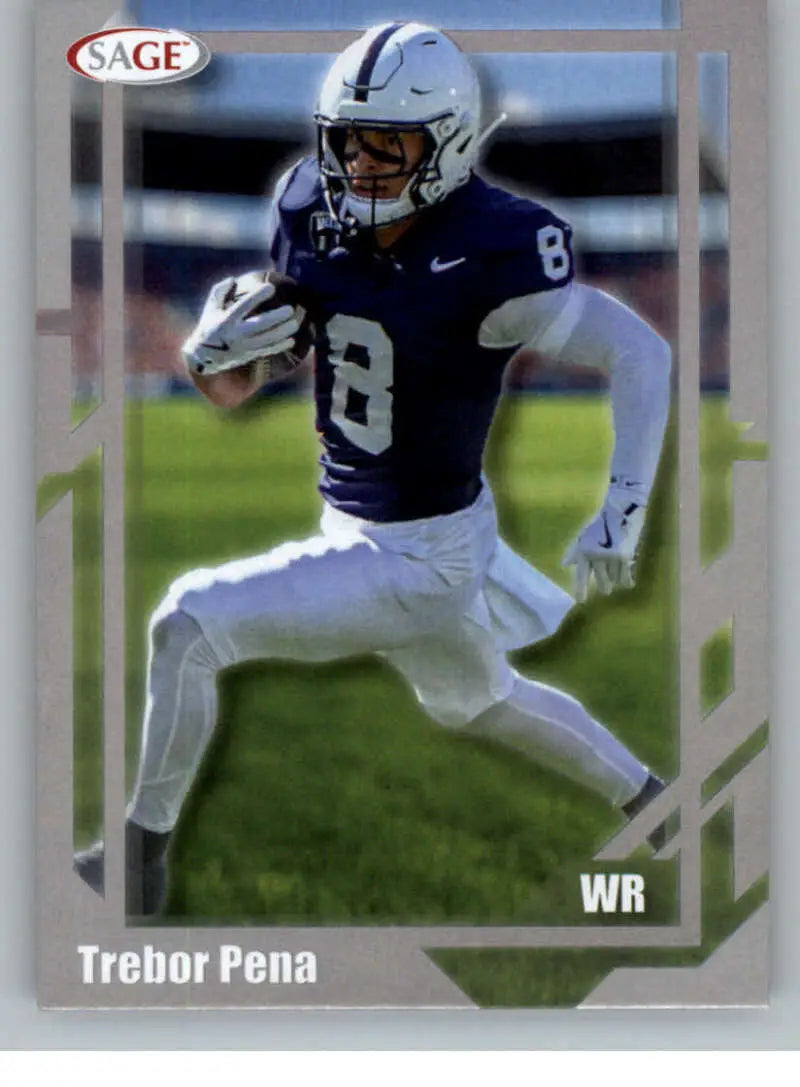 2026 Sage Retail Silver #17 Trebor Pena NM-MT ID:80621