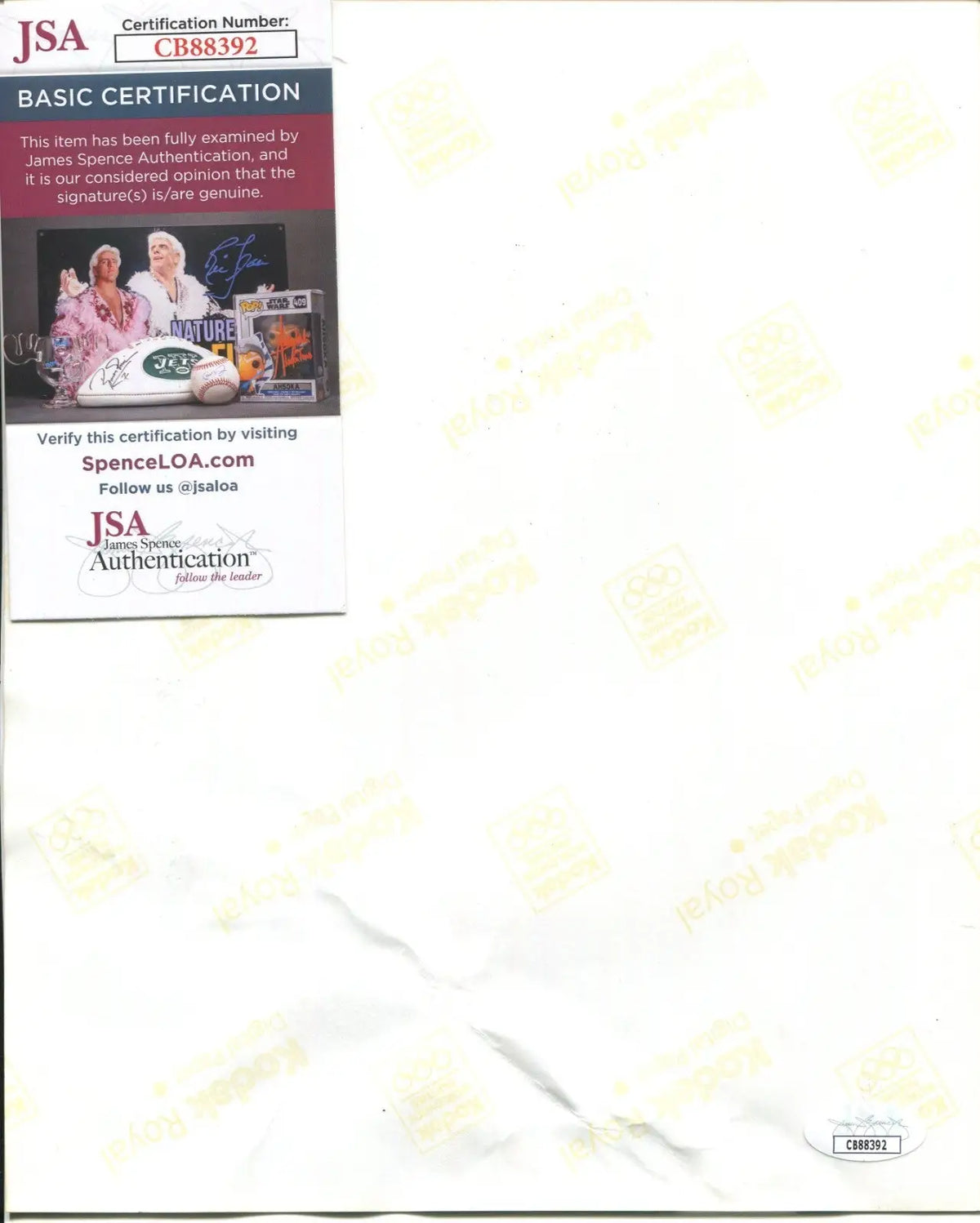 Giada De Laurentiis Signed 8x10 Color Photo Food Network JSA Auto LOW GRADE DMG - Entertainment Memorabilia