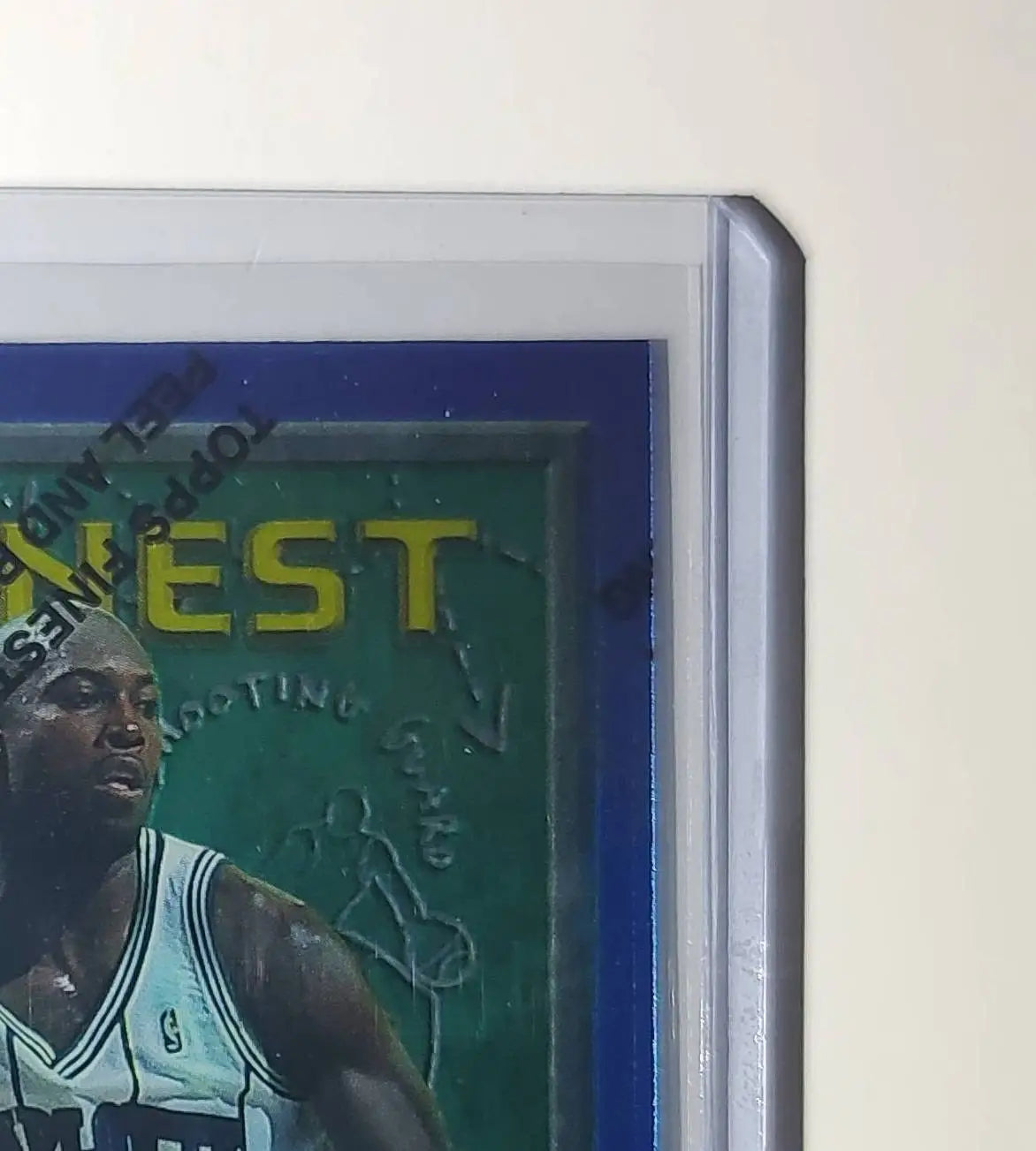 Glen Rice 1995-96 Topps Finest NBA #189 Card Charlotte Hornets