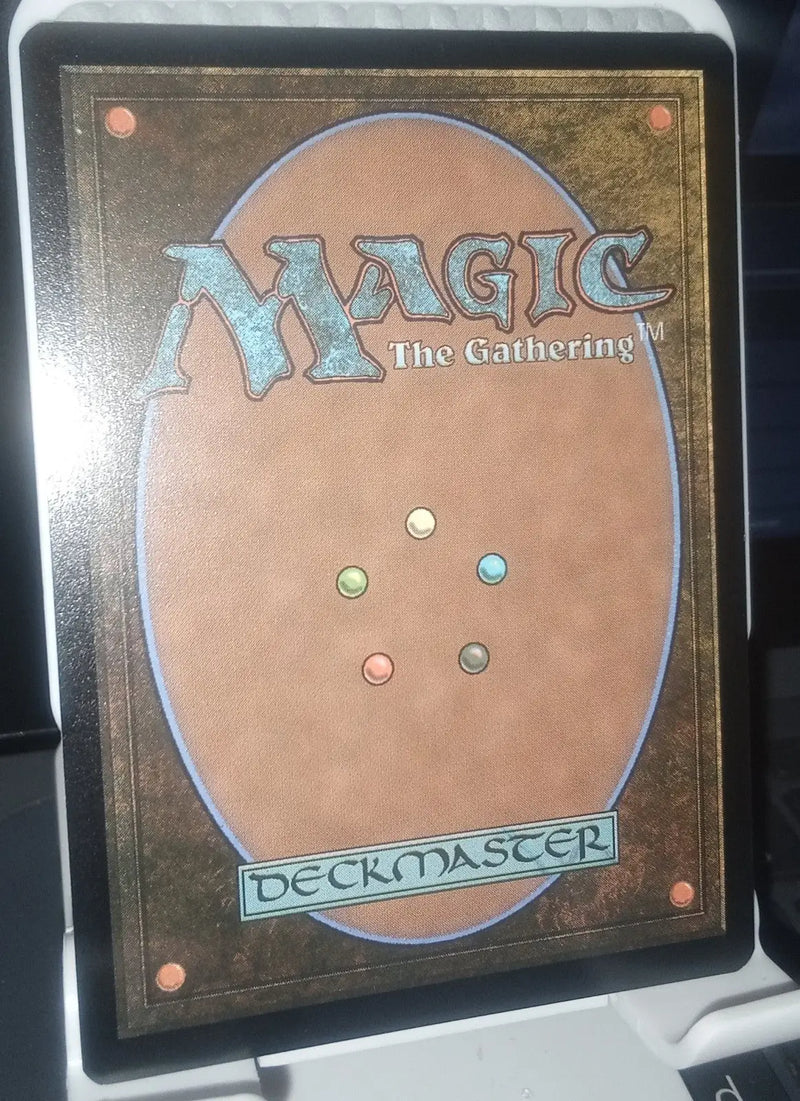 Great Hall of the Biblioplex - 257 - NM - Secrets of Strixhaven Regular Land - Magic Card Single