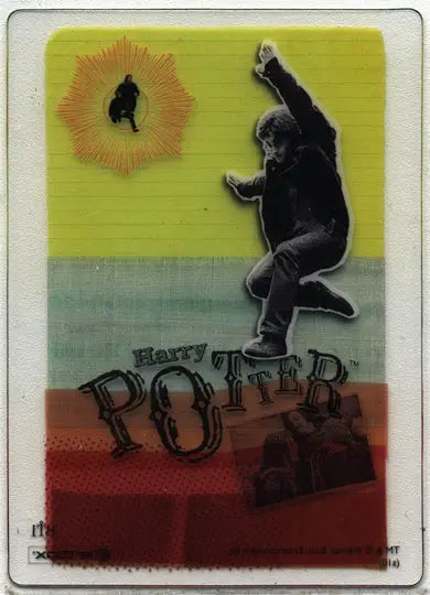 Harry Potter And The Deathly Hallows Part 1 Clear Acetate Box Topper Card BT1 - Entertainment Memorabilia