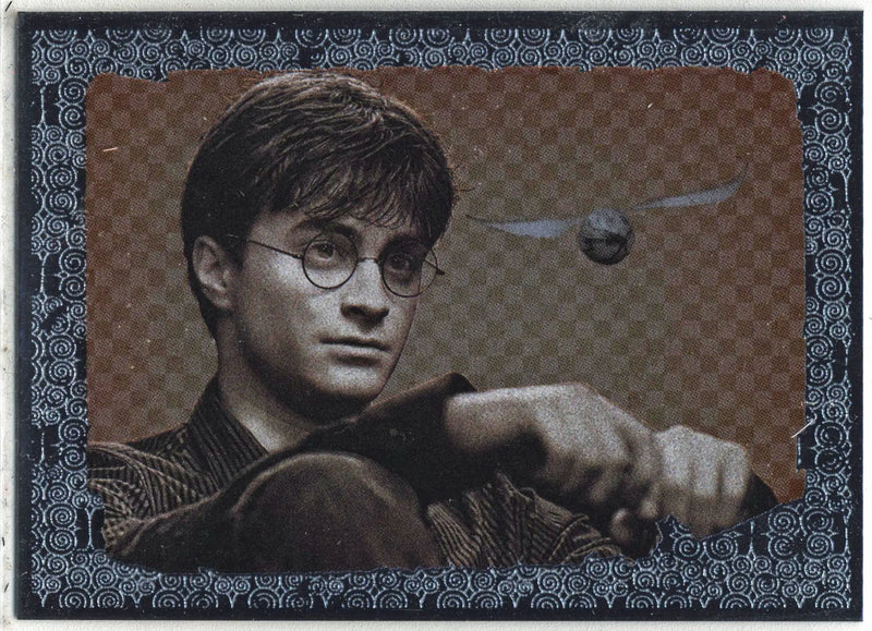 Harry Potter And The Deathly Hallows Part 1 Foil Puzzle Chase Card R2 - Non-Sports Card Single