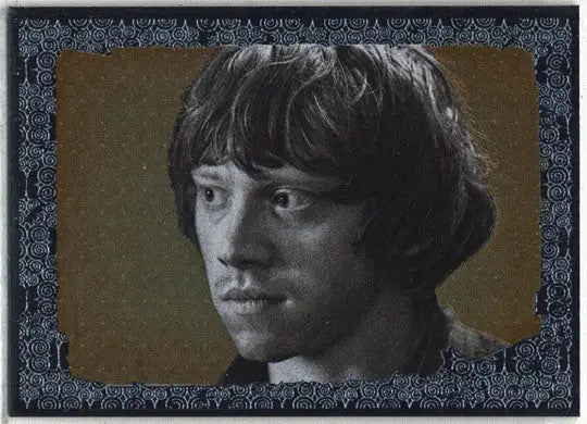 Harry Potter And The Deathly Hallows Part 1 Foil Puzzle Chase Card R8 - Entertainment Card Single