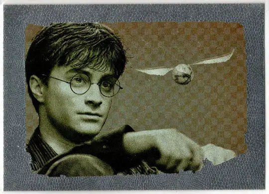 Harry Potter And The Deathly Hallows Part 2 Foil Chase Card R8 - Non-Sports Card Single