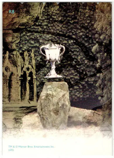 Harry Potter And The Goblet Of Fire Prismatic Foil Chase Card R8 - Non-Sports Card Single