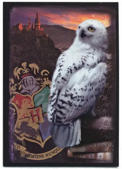 Harry Potter And The Half-Blood Prince Prismatic Foil Puzzle Card R6 - Entertainment Memorabilia