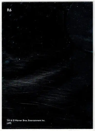 Harry Potter And The Half-Blood Prince Prismatic Foil Puzzle Card R6 - Entertainment Memorabilia