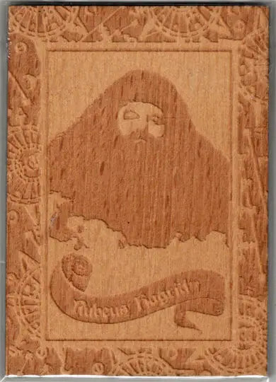Harry Potter And The Half-Blood Prince Update Wooden Box Topper Card BT3 - Entertainment Memorabilia
