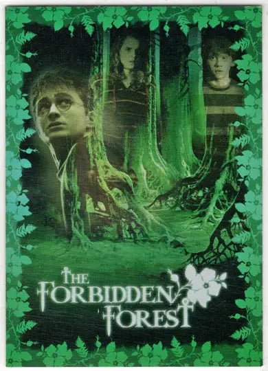 Harry Potter And The Order Of The Phoenix Box Topper Card BT4 - Other