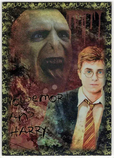 Harry Potter And The Order Of The Phoenix Prismatic Foil Puzzle Card R2 - Entertainment Card Single