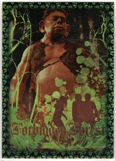 Harry Potter And The Order Of The Phoenix Prismatic Foil Puzzle Card R6 - Entertainment Card Single