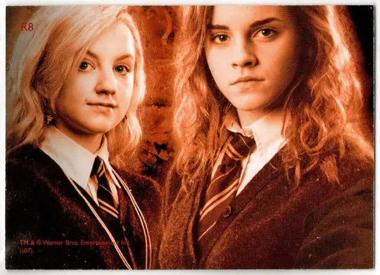 Harry Potter And The Order Of The Phoenix Prismatic Foil Puzzle Card R8 - Other