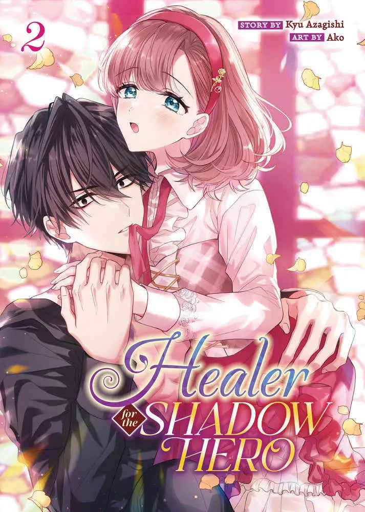 Shadow Hero manga cover art for Healer For The Shadow Hero Volume 2