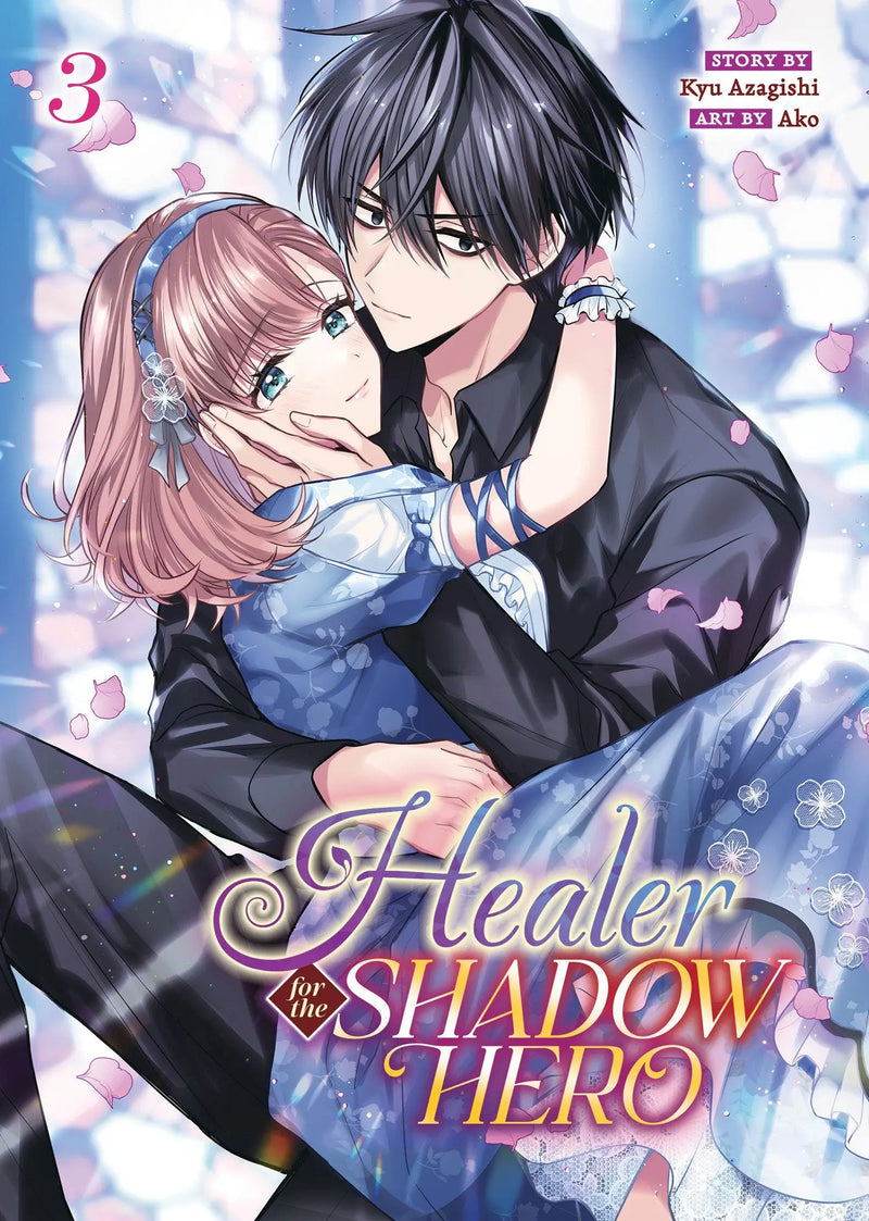 Manga cover art for Healer For The Shadow Hero Volume 3 displaying dynamic characters