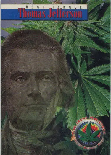 Serious man with long hair and cannabis leaves on Hemp Movement promo card