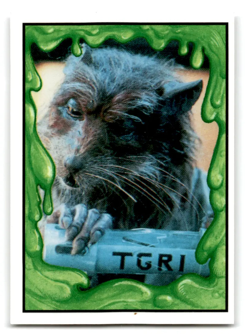 Rat-like creature with green slime border from Hostess Teenage Mutant Ninja Turtles II card lot