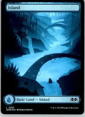 Island (0263) - Wilds of Eldraine - 263 - Foil NM - Magic Card Single