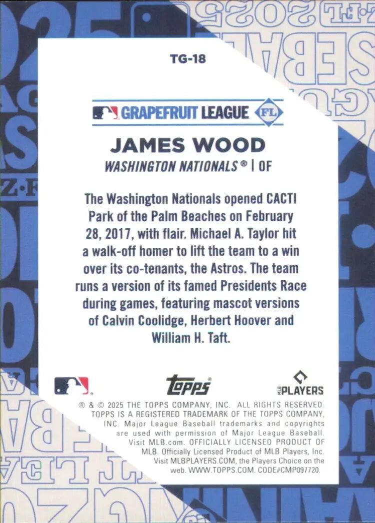 James Wood Rookie 2025 Topps Series 1 Training Grounds #TG-18 Nationals Card MLB - Baseball Card Single